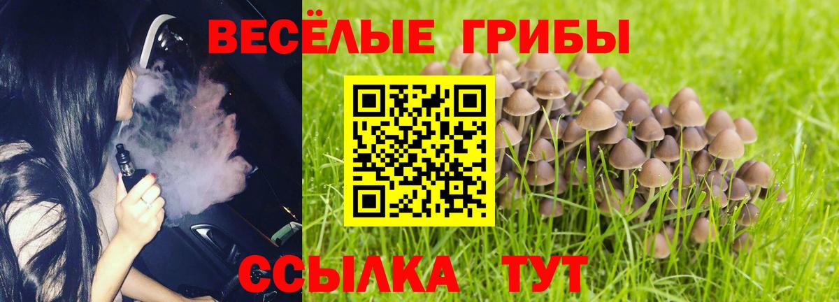Тара  Псилоцибиновые грибы GOLDEN TEACHER  Вход с VPN 