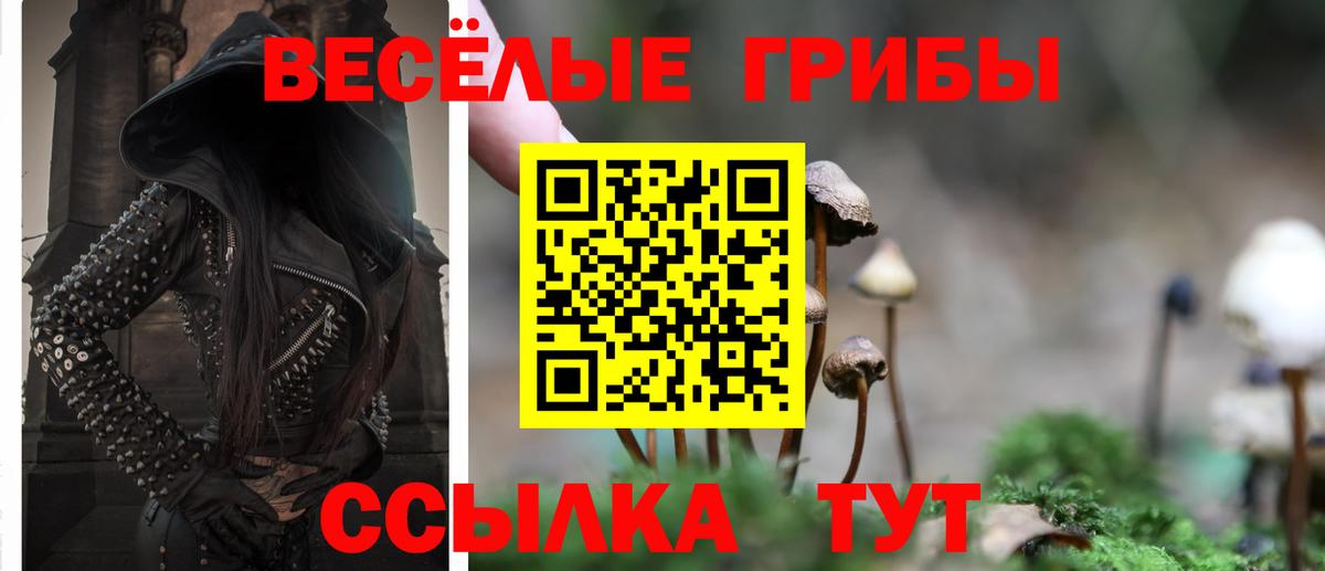 Галлюциногенные грибы Psilocybe Тара